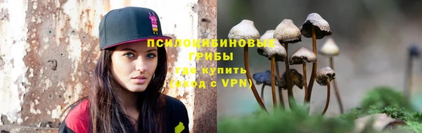 стафф Абаза