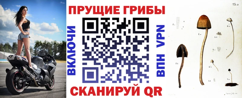 Псилоцибиновые грибы Psilocybine cubensis  Ува 